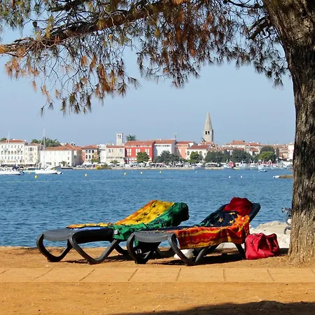 Appartamento With Parking Space - 24316