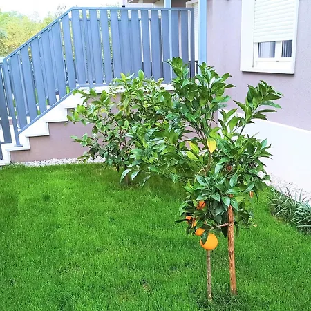 Apartman With Parking Space - 24316 *